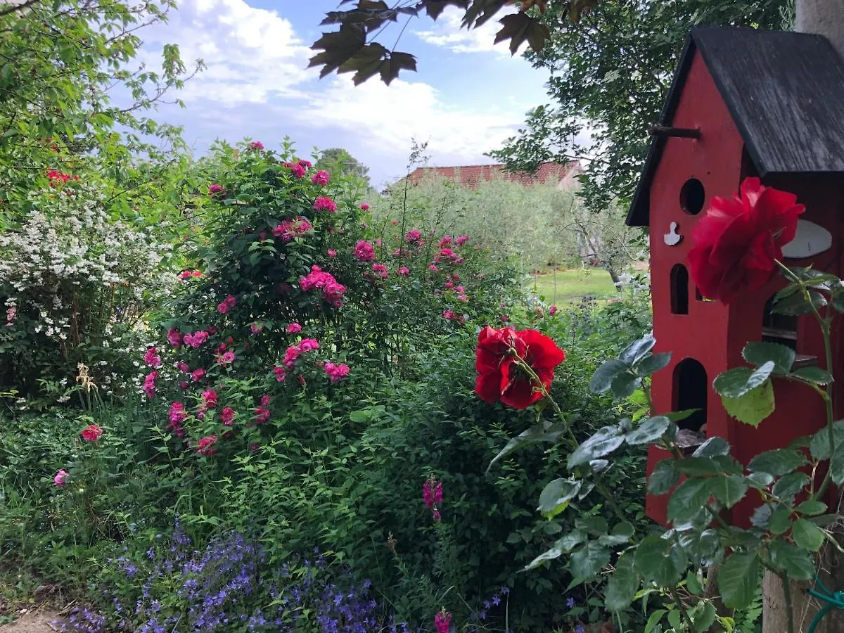 Apartmani Dubasnica Malinska